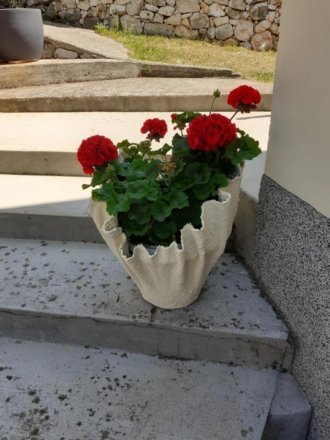 Apartman Danijela Zagorje Экстерьер фото